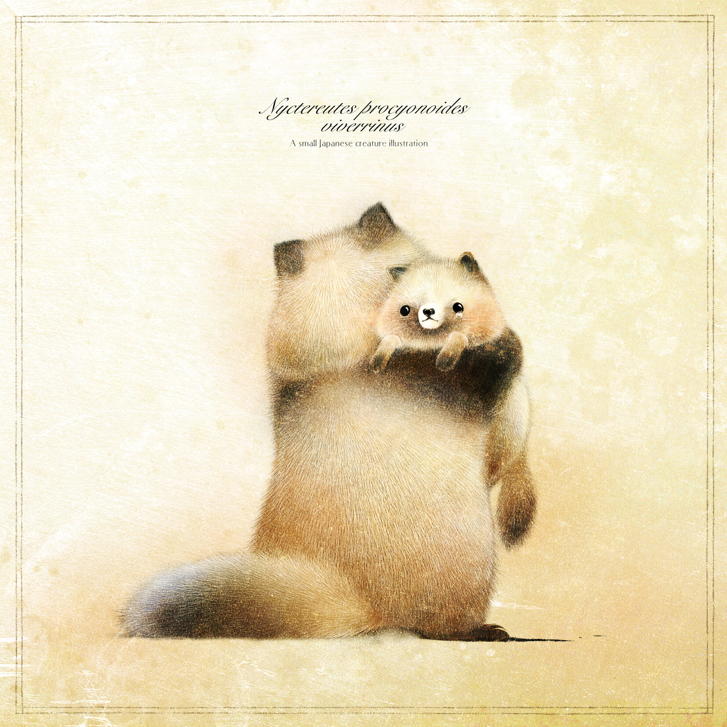 Raccoon_dog2023-07-20-00.jpg